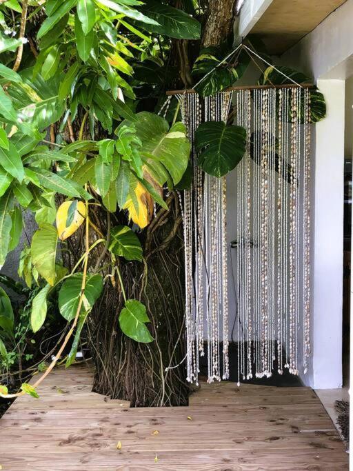 Bungalow Tiarii, Avec Acces Direct A Une Plage Privee Tevaitoa Εξωτερικό φωτογραφία